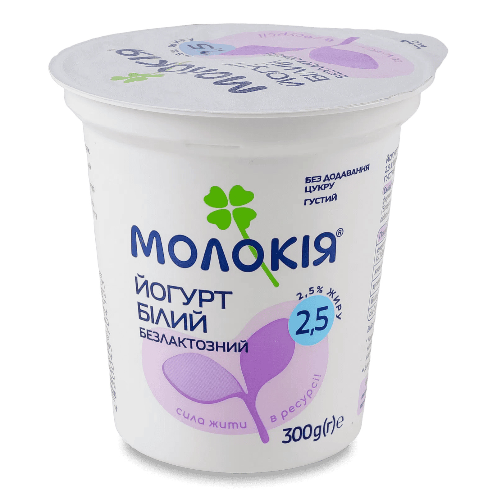 Йогурт білий безлактозний 2,5% жиру "Молокія", 300 г